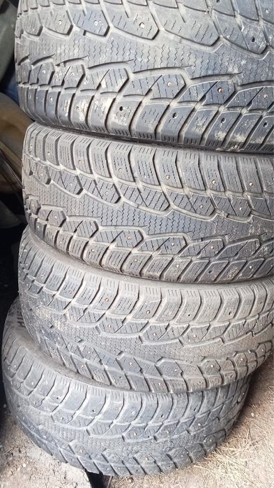 пролам шины зимние