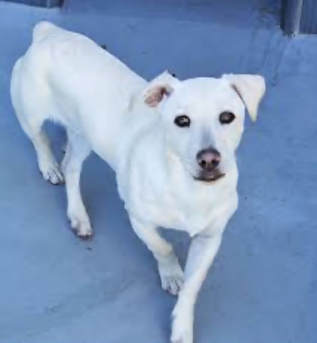 Mehribon, ma'suliyatli qo'llarga