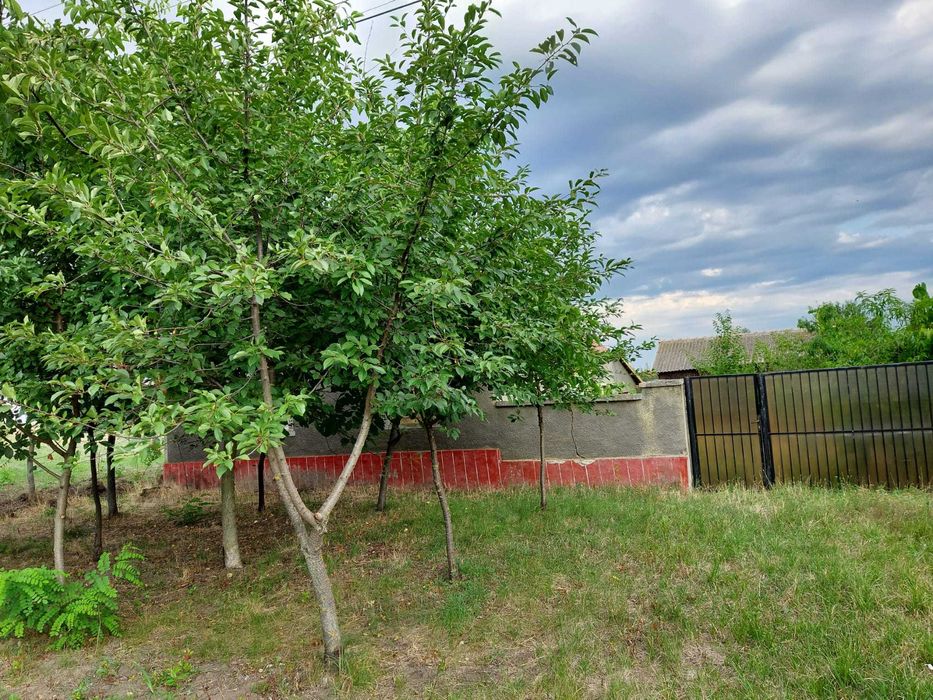 Casa de vanzare Arad