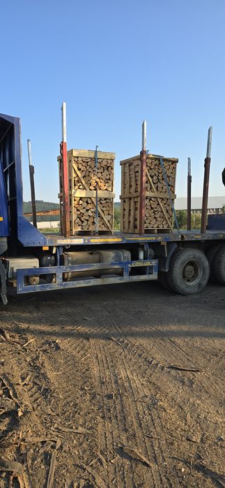 Lemn foc Fag paletizat 800 lei paletu