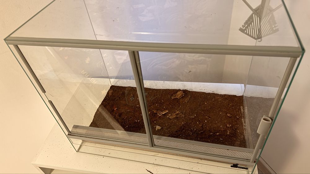 Terrarium diversa 60x30x30 – ideal pentru gecko, șarpe,