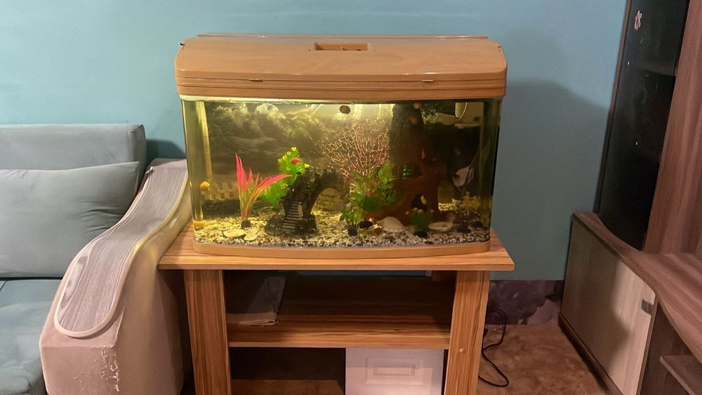 Продам аквариум с рыбками