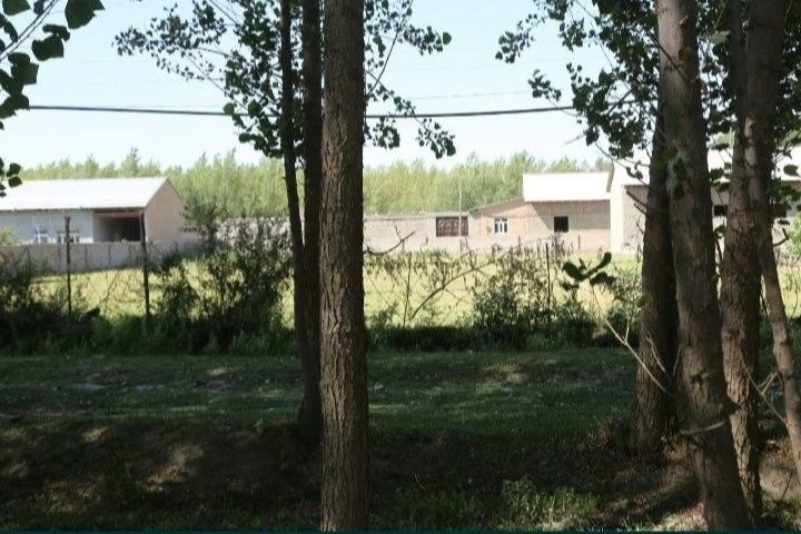 3000 dan sotigi , jomboy sentrga yaqin xashdalada yer uchaskasi .