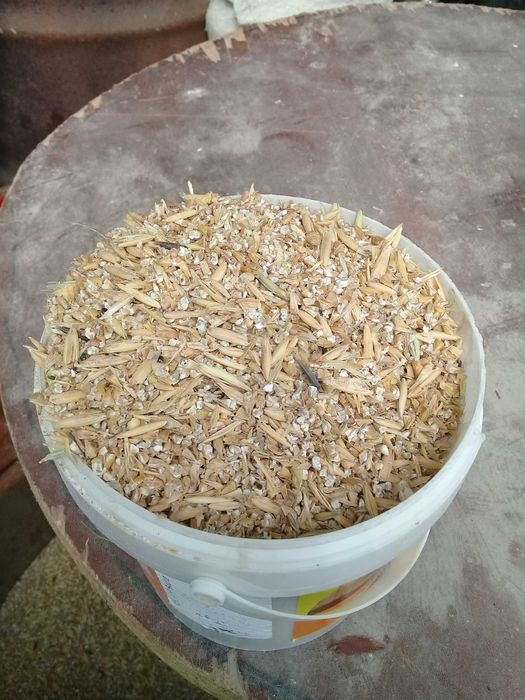 продам  пшеницу  лен, комбикорм