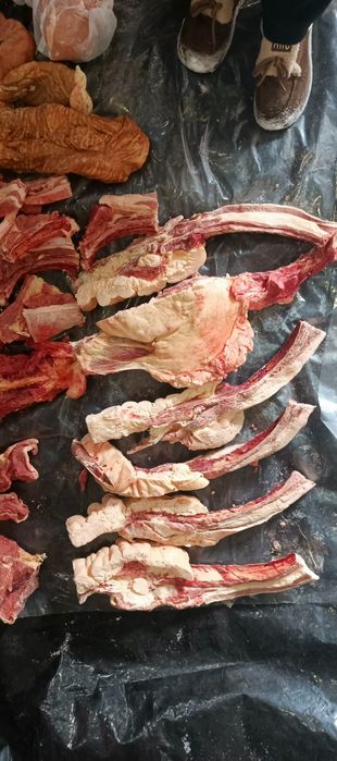 Продам 1 ляжку конины.