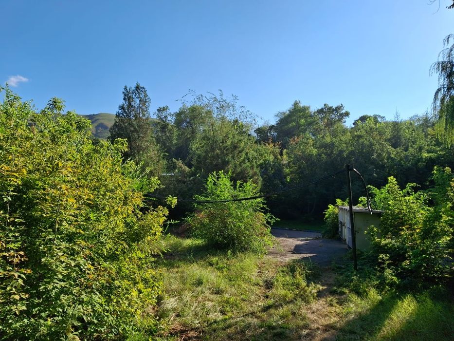 Краска для волос PalettePalette