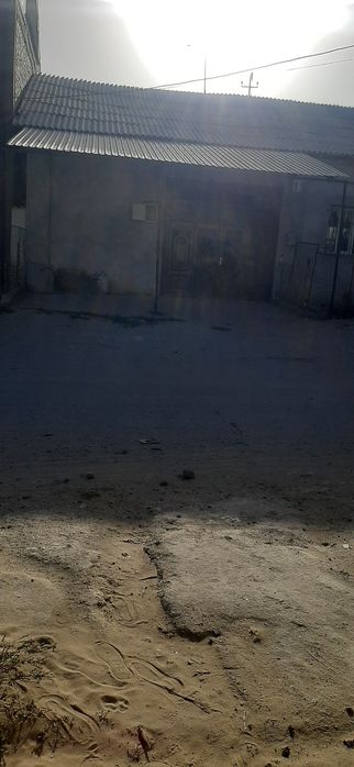 Оракбалгада уй сатылад 8 сутык