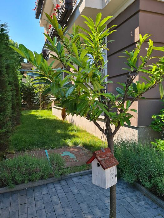 Апартамент Попова в Обзор