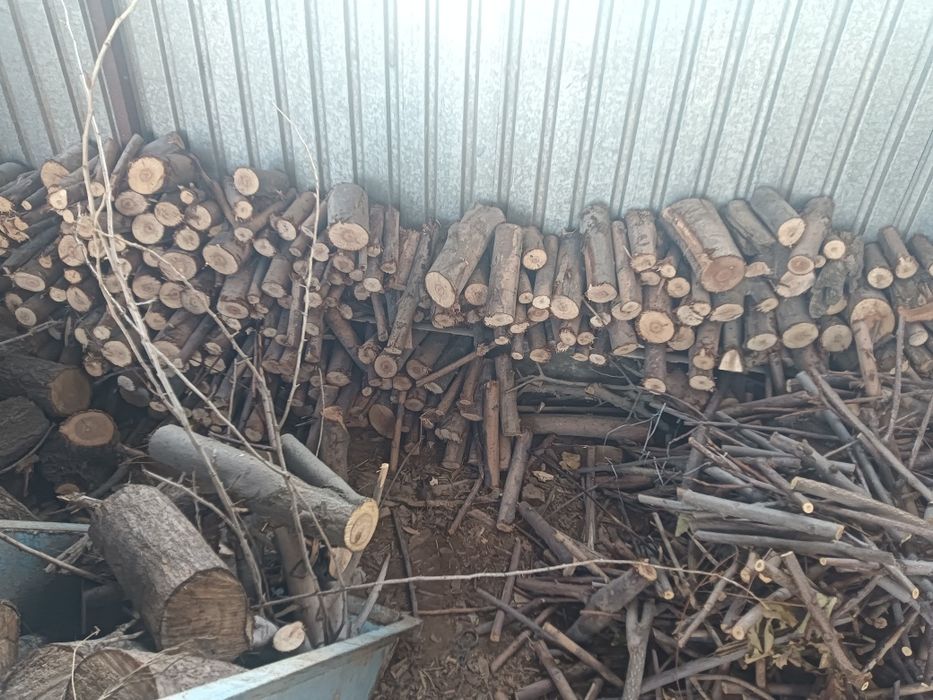 Отын бар 50мын.т