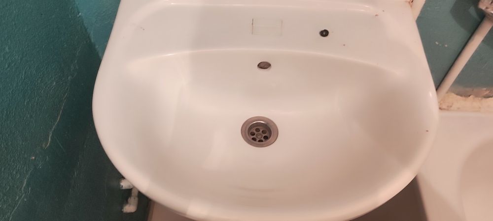 Раковина -тюльпан