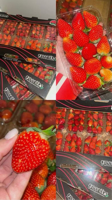 Клубника в шоколаде