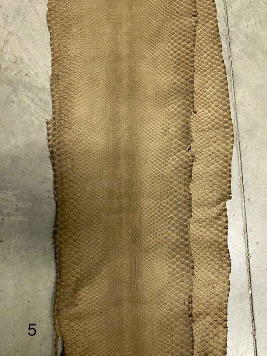 Естествена змийска кожа