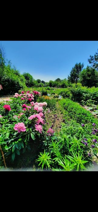 Продажа дачи на "Горняке"