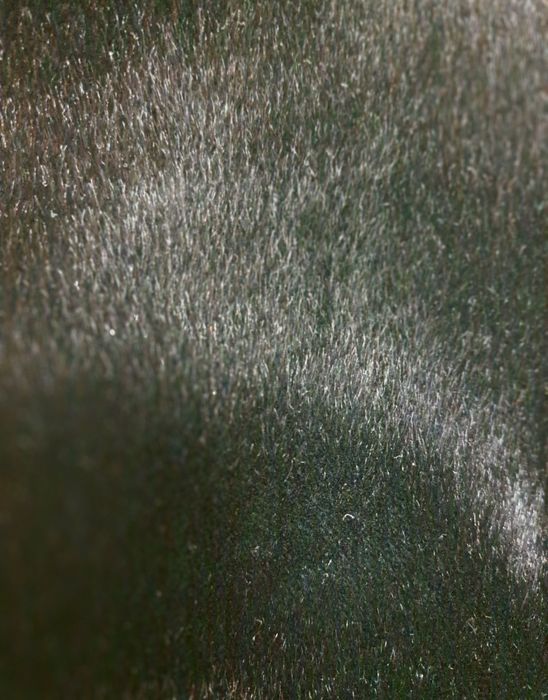 Продам норковую шубу