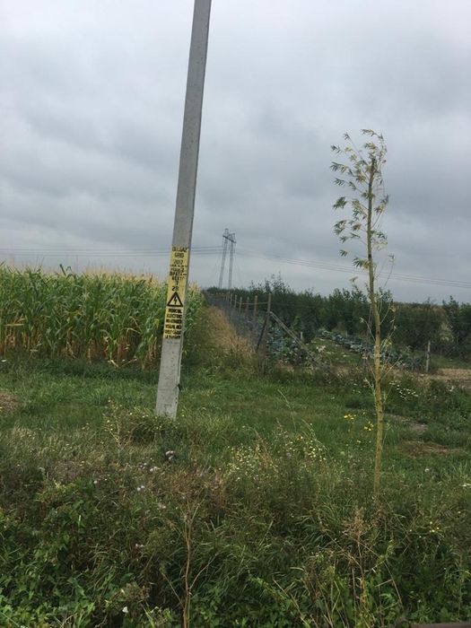 Intabulat, intravilan+extravilan DN2E Falticeni-Spatarasti