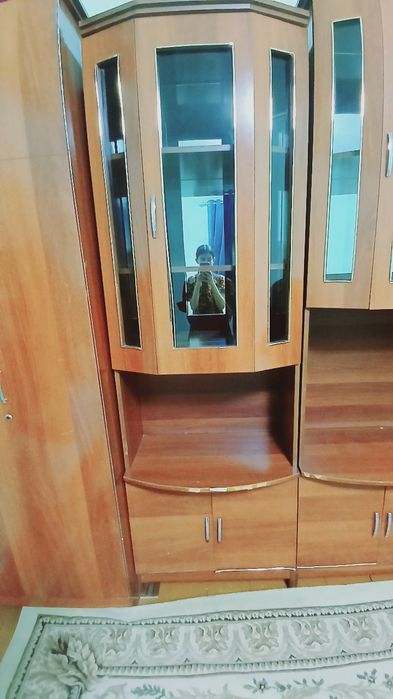 Jigarrang mebel 5 tasi birda