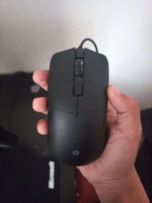 Продаю мышка торг есть