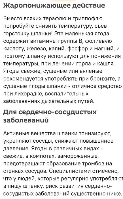 Вишня шпанка крупный