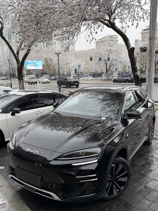 Byd Chempion Chegirma narxda tayyor