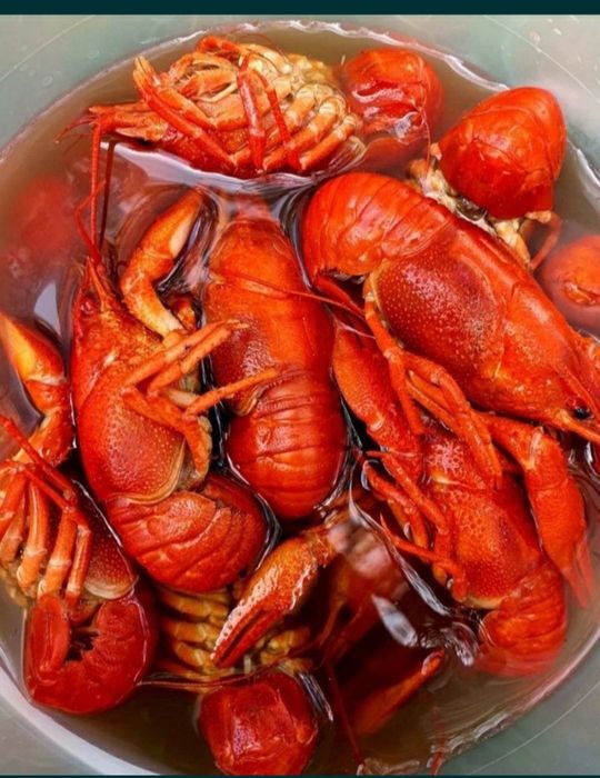 Самые вкусные Морские сеты!