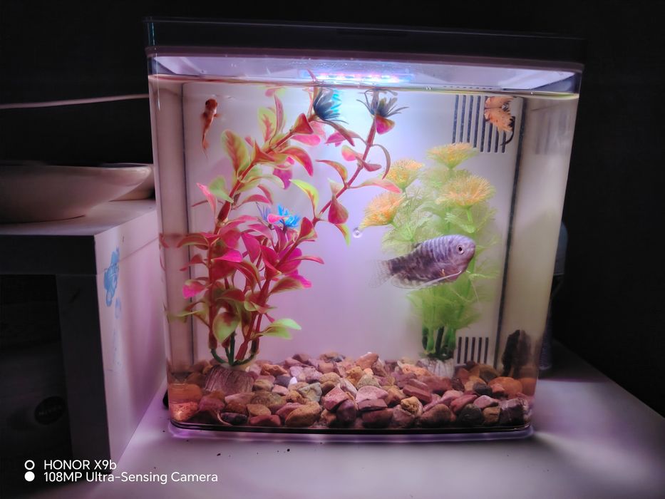 Продам аквариум, с подсветкой встроенной