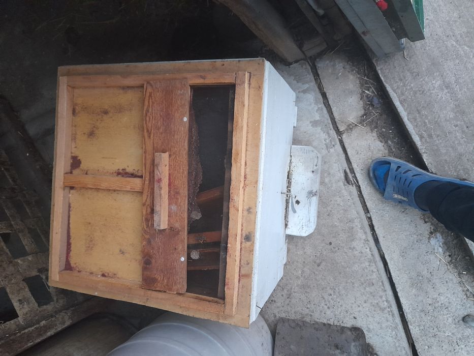 Stupi 12 rame pat rece