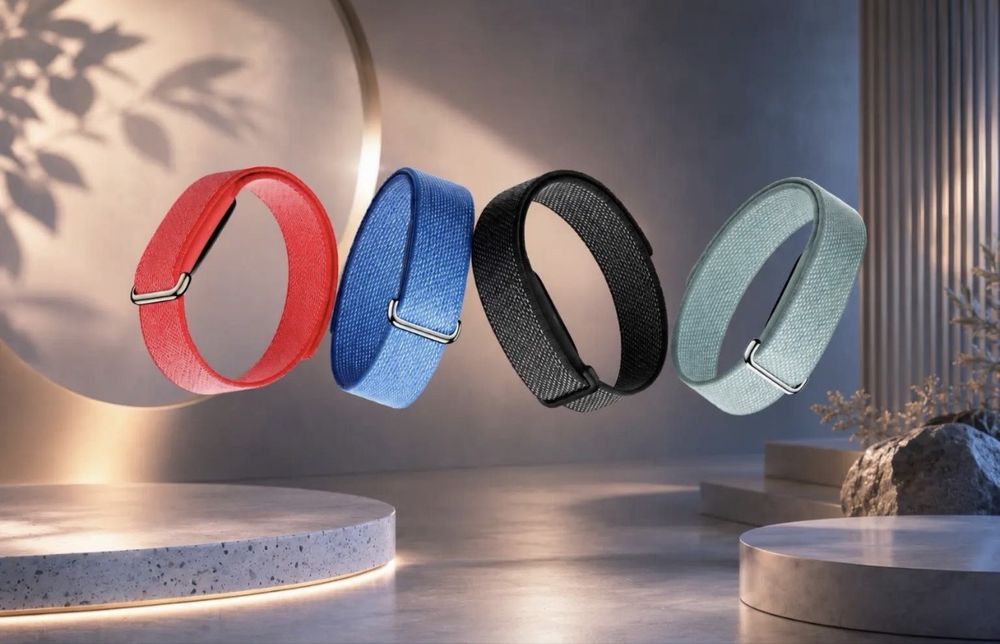 Google fitbit air