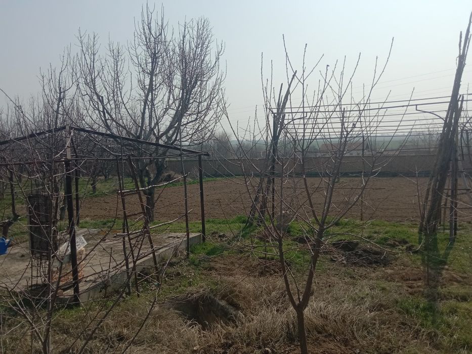 Котта кон Уй сотилади 68 сотих