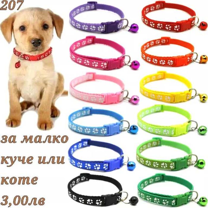 Нашийници за малки кучета. Нашийник за куче. Нашийник за котка. Каишка