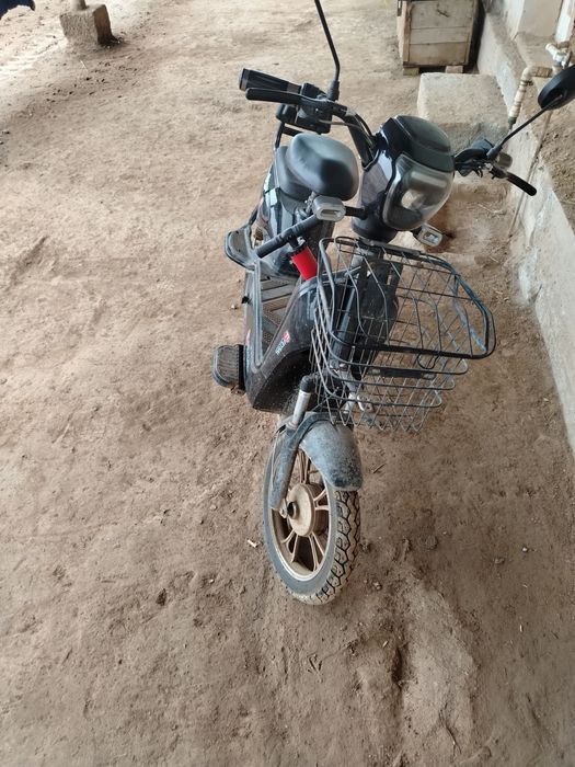 Eliktro suqutr noviy