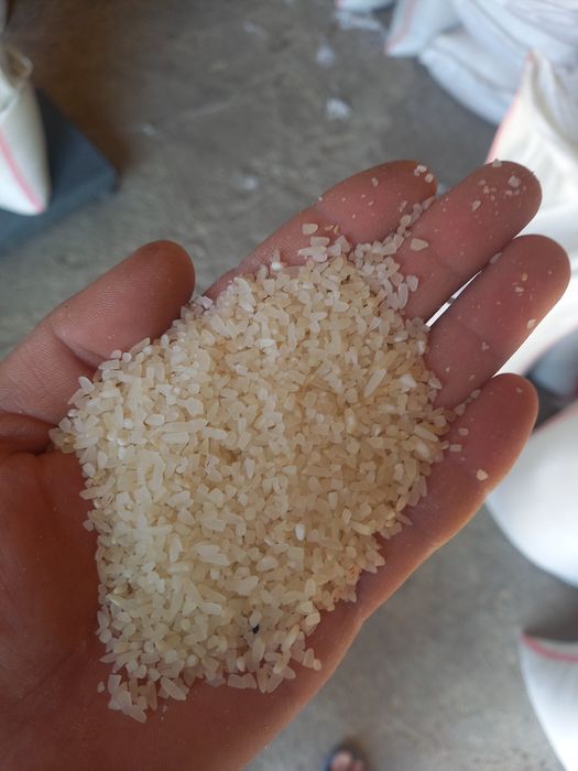 Сечка куриштин майдасы аусак