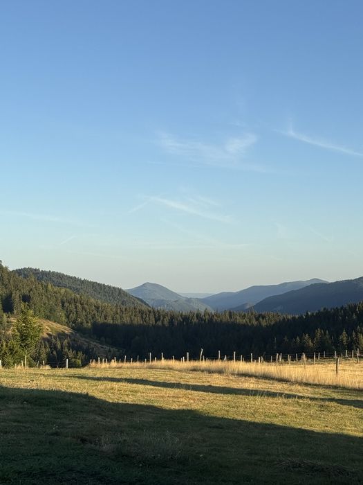 Teren intravilan  zona Vartop Arieseni