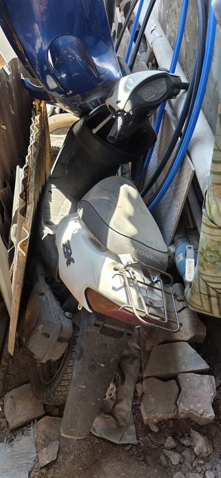 Honda dio zx мопед 49 кб