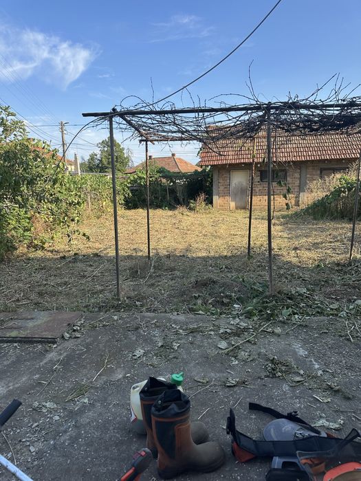 Косене , премахване и рязане на дървета