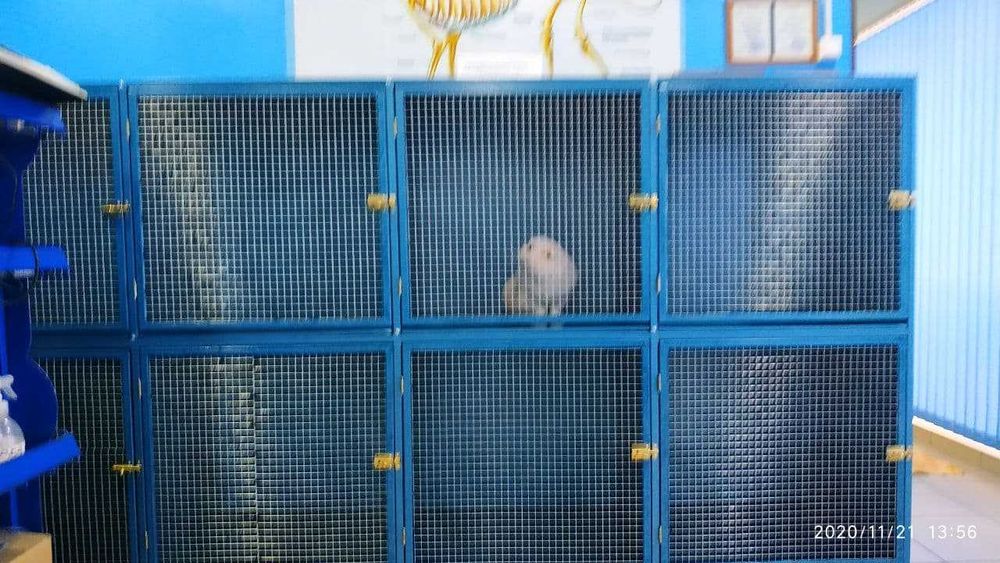 Клетки для домашних питомцев