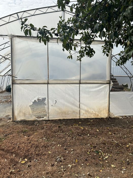 Оранжерия тунел 8/18 м