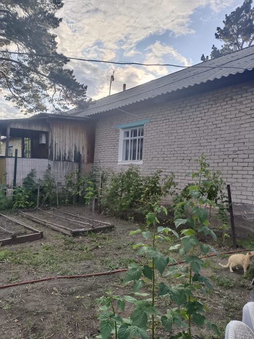 Продается дом в Аккольском лесхозе