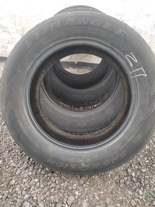 Резина TRIANGLE   snow lion