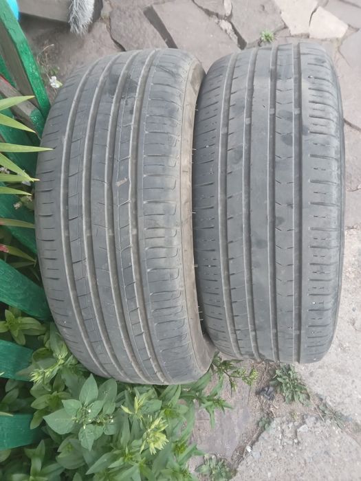 Продам шиный. 10000