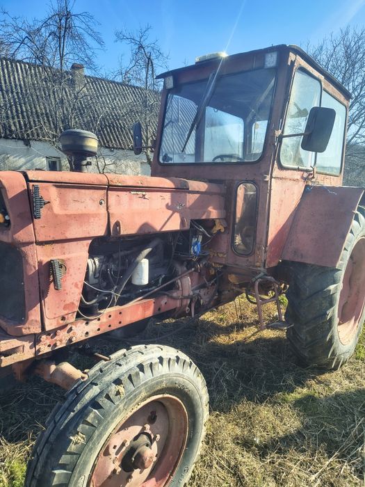 650 De vinzare revizuit
