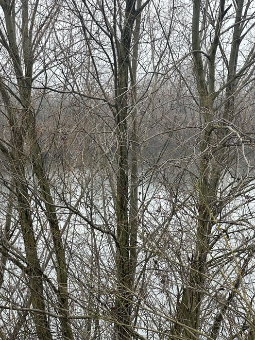 Lac de pescuit balta