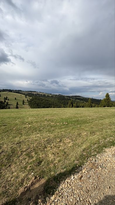 Loc de vanzare Piatra Fântânele , Șăndroaia