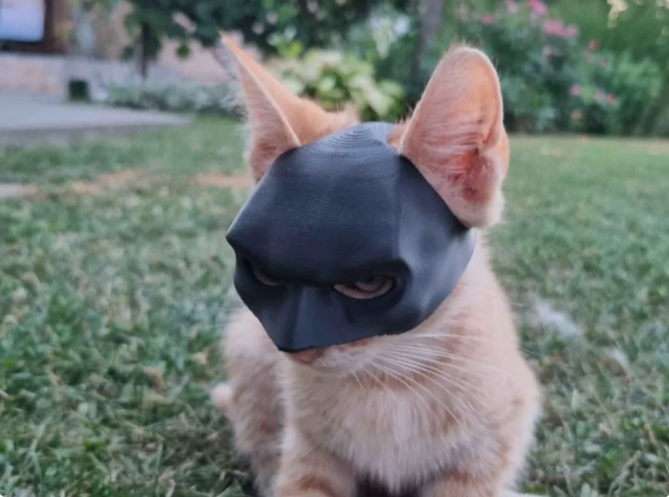 Masca Batman pisica