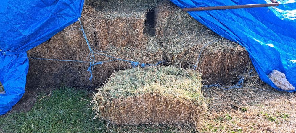 Vand baloti lucerna coasa 3 si 4 calitate superioara