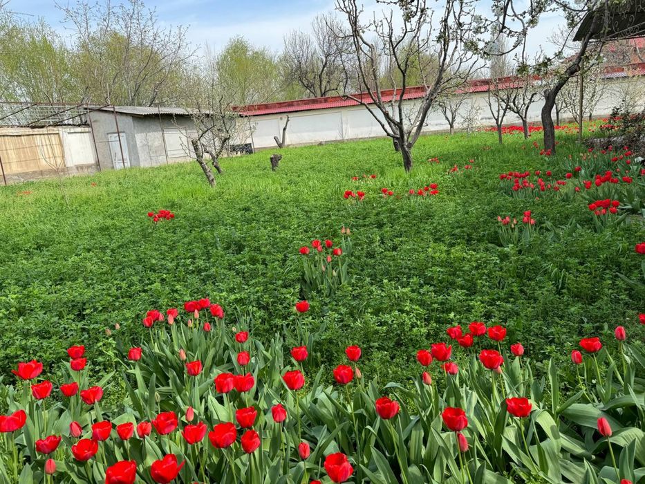 Свой коттедж , площадь земельного участка 13 соток