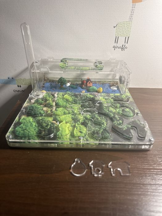 Ферма муравьиная