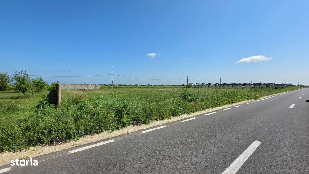 Teren extravilan 2000 mp – deschidere 44 ml la DN – Movilița