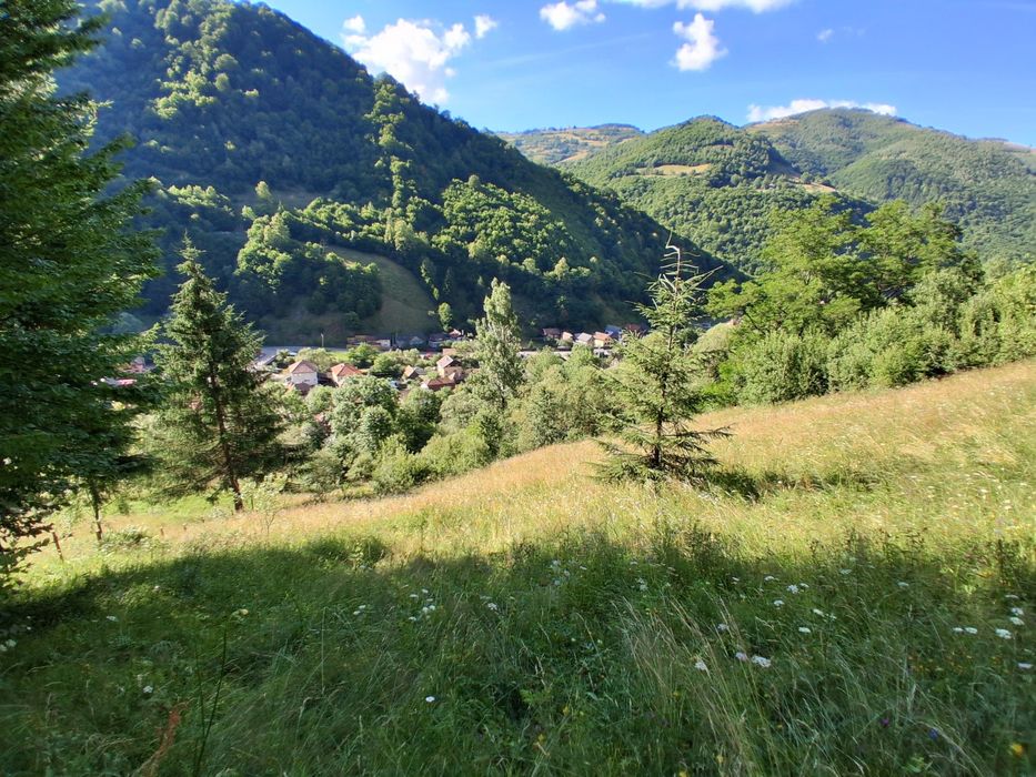 TEREN Maguri Racatau