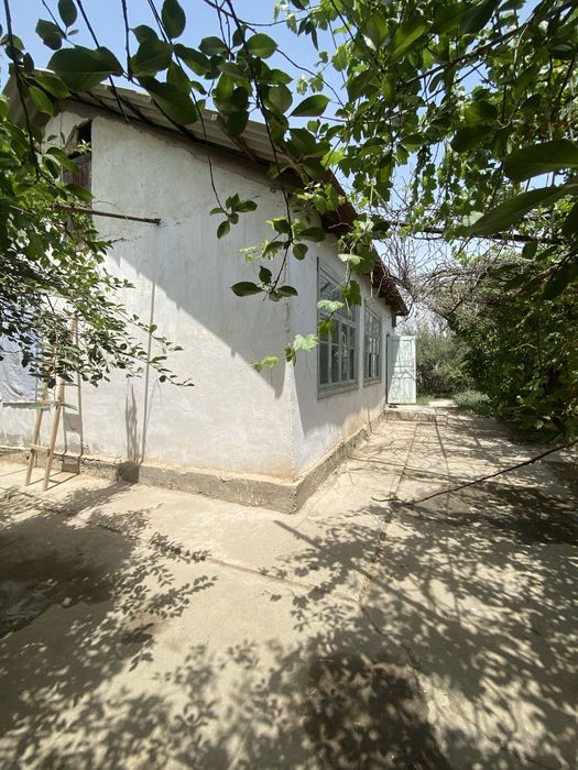 Xovli sotiladi 6 sotix