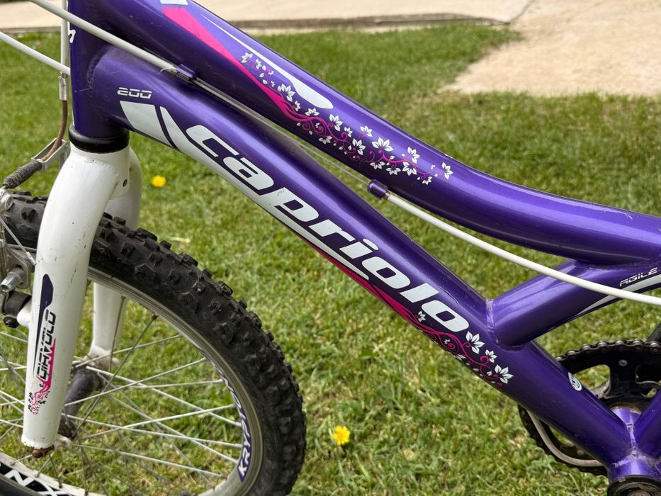 Bicicleta de copii